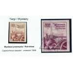 (TARGI i wystawy) Wystawa Przemysłu i Rolnictwa. Częstochowa. Sierpień-wrzesień 1909.