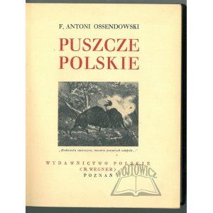 CUDA Polski. OSSENDOWSKI F. Antoni, Puszcze Polskie.