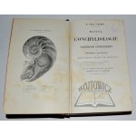 Mollusken, Muscheln (Malakologie). Sammlung von 91 Objekten.