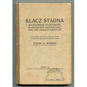 SUMIŃSKI Stefan hr., Klacz stadna.