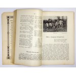 Kalender der Königin der polnischen Krone für das Jahr des Herrn 1931. Miejsce Piastowe [1930]. Verlag und Druck der Bildungseinrichtung....