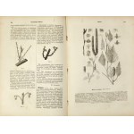 ENCYKLOPEDYA rolnicza. T.1: Absorpcya [gruntowa]-Chirurgia [weterynaryjna]. 1890.