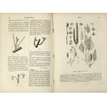 Landwirtschaftliches ENZYKLOPEDYA. T.1: Absorpcya [Land]-Chirurgie [Tiermedizin]. 1890.