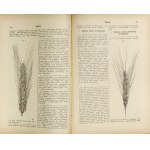 Landwirtschaftliche ENKYCLOPEDYA. T. 9: Plenipotencya-Serovarry. 1900.