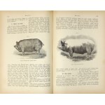 Agricultural ENCYCLOPEDY. Vol. 10: Hay-Weeding. 1901.