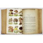 OCHOROWICZ-MONATOWA Marya - Universal cookbook with illustrations and color plates awarded at exhibition h...