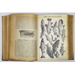 OCHOROWICZ-MONATOWA Marya - Universelles Kochbuch mit Illustrationen und Farbtafeln, ausgezeichnet auf der Ausstellung h...