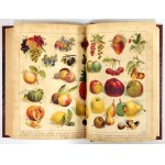 OCHOROWICZ-MONATOWA Marya - Universal-Kochbuch mit Illustrationen und Farbtafeln, ausgezeichnet in der Ausstellung h...
