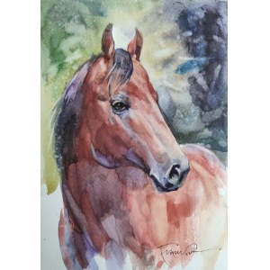 Alexander Franko, The Horse