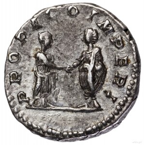 Denar, 202-205, Rzym; Aw: Głowa cesarzowej w prawo, PLA...