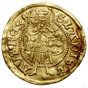 Goldgulden, bez daty (1476-1485), Nagybánya; Aw: Madonn...