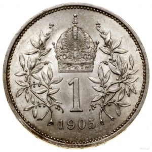 1 korona, 1905, Wiedeń; Herinek 798, KM 2804; niski nak...