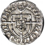 R-, Zakon Krzyżacki, Fryderyk Saski 1498-1510, Grosz, R3