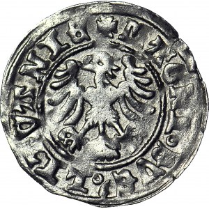 Aleksander Jagiellończyk, półgrosz litewski, Wilno, renesansowy, VI emisja 1502-04, PIĘKNY