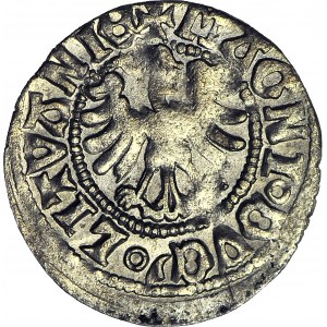 Aleksander Jagiellończyk, półgrosz litewski, Wilno, renesansowy, VII emisja 1503-05, PIĘKNY