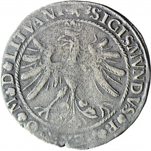 RRR-, Zygmunt I Stary, Grosz 1535 Wilno SIERPIEŃ