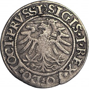 Zygmunt I Stary, Grosz 1533, Elbląg, ELBINGK/PRVSSI