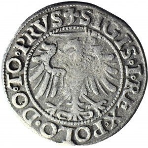 RR- Zygmunt l Stary, Grosz 1538, Elbląg, NAJRZADSZY ROCZNIK, R7