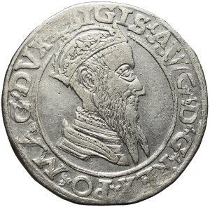 Zygmunt II August, Czworak 1566, Wilno, L/LIT