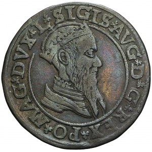 Zygmunt II August, Czworak 1566, Wilno, L/LIT