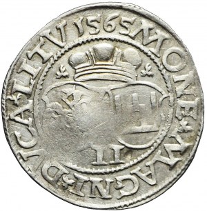 Zygmunt II August, Dwugrosz 1565, Wilno, bardzo rzadki