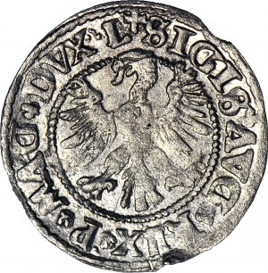 R-, Zygmunt II August, Półgrosz 1546, Wilno, starszy typ orła, LITV/L+
