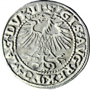 Zygmunt II August, Półgrosz 1552, Wilno