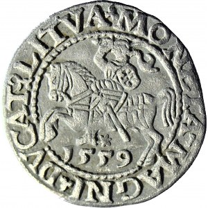 Zygmunt II August, Półgrosz 1559, Wilno, LITVA/L
