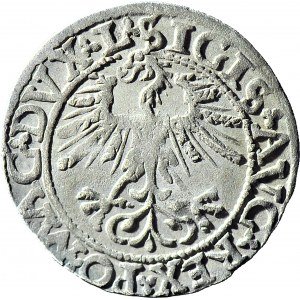 Zygmunt II August, Półgrosz 1562, Wilno, A pisane odwróconym V w LITVA