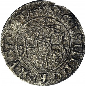 RR-, Sigismund III Vasa, Shelrog 1625-7, Bydgoszcz two obverses, one-sided