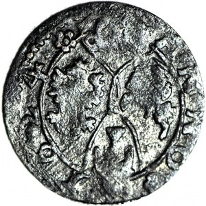 R-, Zygmunt III Waza, Ternar 1624, Łobżenica, R3