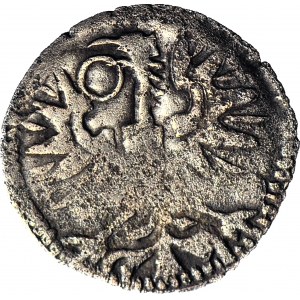 Zygmunt III Waza, Denar 1596 CWF, Wschowa, R8, T25