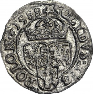 Zygmunt III Waza, Szeląg 1588, Olkusz, Półruszt, pierwszy szeląg Zygmunta
