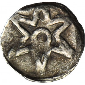 RR-, Vorpommern, Stargard denarius 15. Jahrhundert Stern/Greif