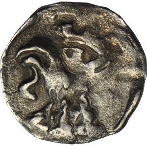 R-, Western Pomerania, Denarius of Szczecin XVw head of Griffin/griffin