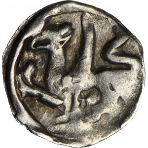 R-, Western Pomerania, Denarius of Szczecin XVw head of Griffin/griffin