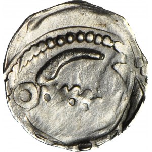 RR-,Księstwo Głogowskie, Henryk III 1273-1309 lub synowie, Parwus, Głowa wołu/Gwiazda