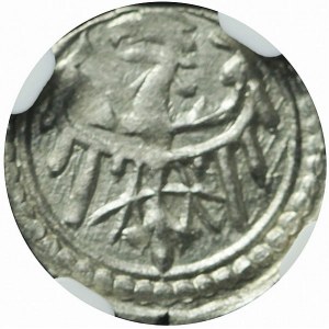 Sliezsko, Lubinské vojvodstvo, Rupert II. 1420-1431 a Ľudovít III. 1423-1441. Radnica 1420-1423, Lubin