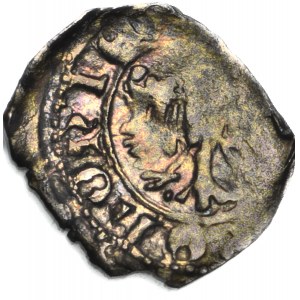 R-, Casimir the Great 1333-1370, Denarius, Crowned Head