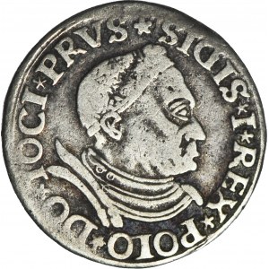 RR-, Sigismund I. der Alte, Trojak 1530, Torun, T.18mk, R5