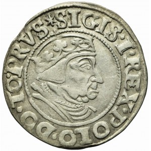 Sigismund I. der Alte, Grosz 1538 Danzig, PRVS