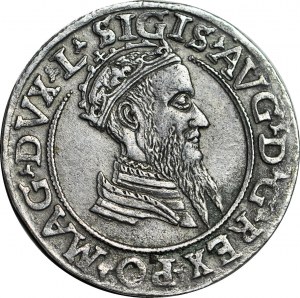 Zygmunt II August, Czworak 1569, Wilno, piękny