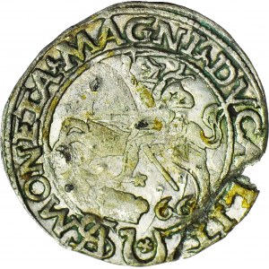 RR,- Sigismund II Augustus, Grosz 1566, Tykocin with Jastrzębiec coat of arms, very rare