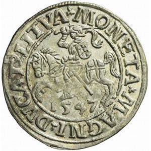Sigismund II Augustus, Halbpfennig 1547 Vilnius, L / LITVA, seltener