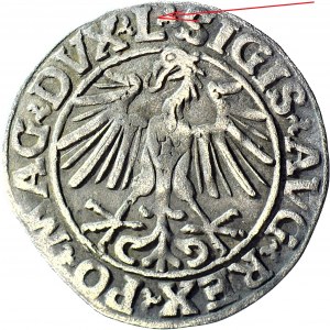 RR-, Sigismund II Augustus, Halbpfennig 1548, Vilnius, 1 Arabisch, Spitze L, sehr selten
