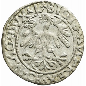 Sigismund II. Augustus, Halbpfennig 1559 Wilna, L / LITVA