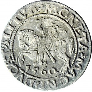 RR-, Sigismund II Augustus, Halbpfennig 1560, Wilna, ROZETA, selten