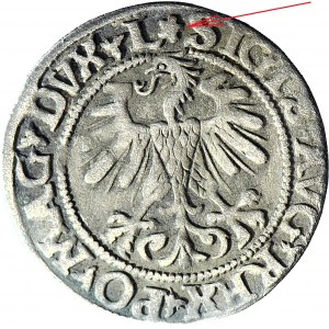 RR-, Sigismund II Augustus, Half-penny 1560, Vilnius, ROZETA, rare