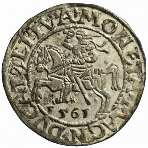 RR-, Sigismund II Augustus, Half-penny 1561 Vilnius, L / LITVA; MAGN