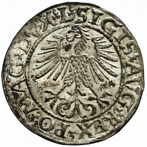 RR-, Sigismund II Augustus, Half-penny 1561 Vilnius, L / LITVA; MAGN